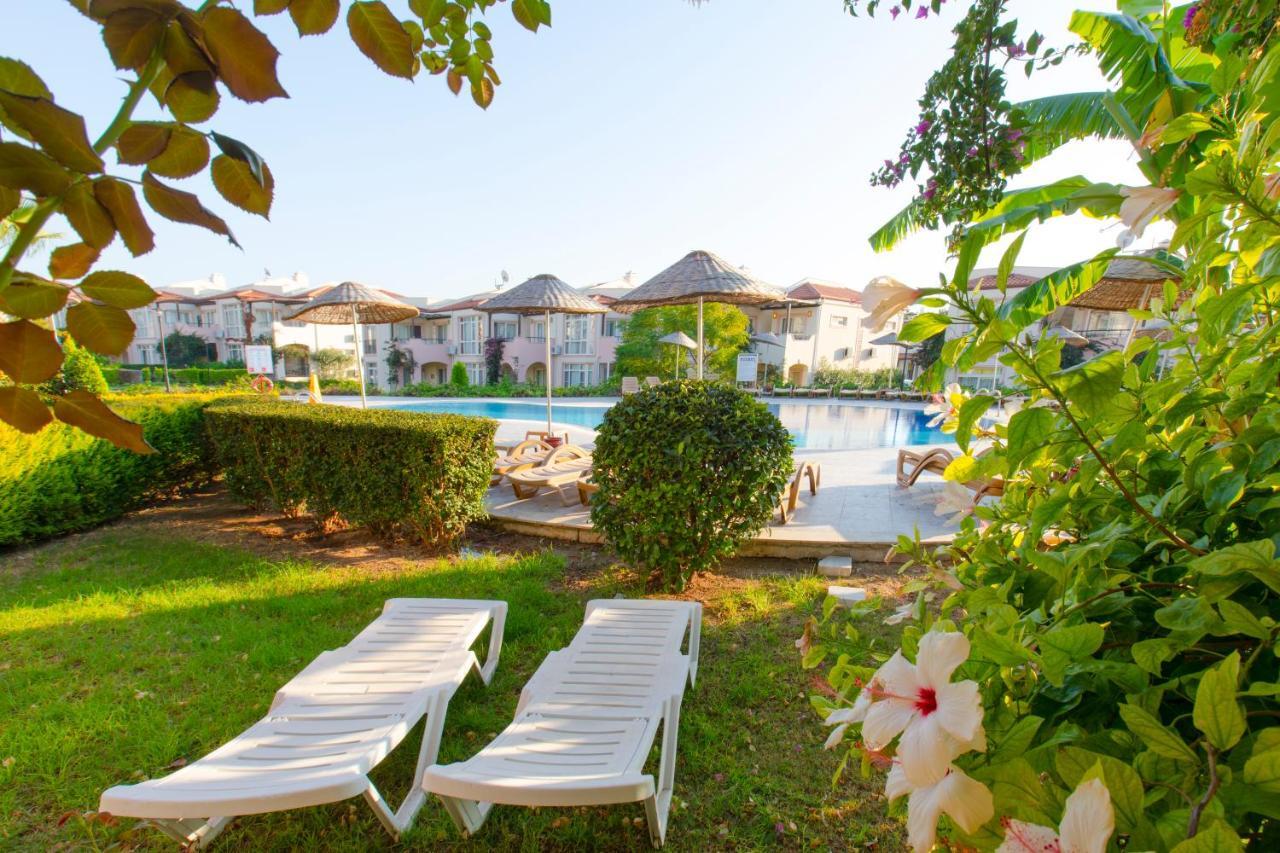 Apollonium Bozbuk Akbuk (Didim) Phòng bức ảnh